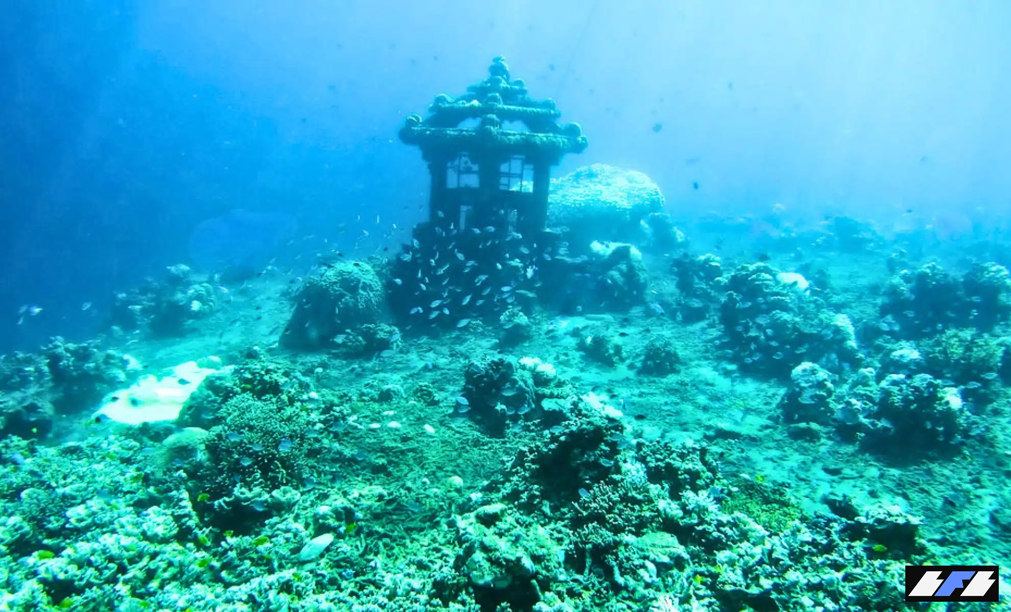 ancient-remains-reveal-advanced-survival-behavior-scaled