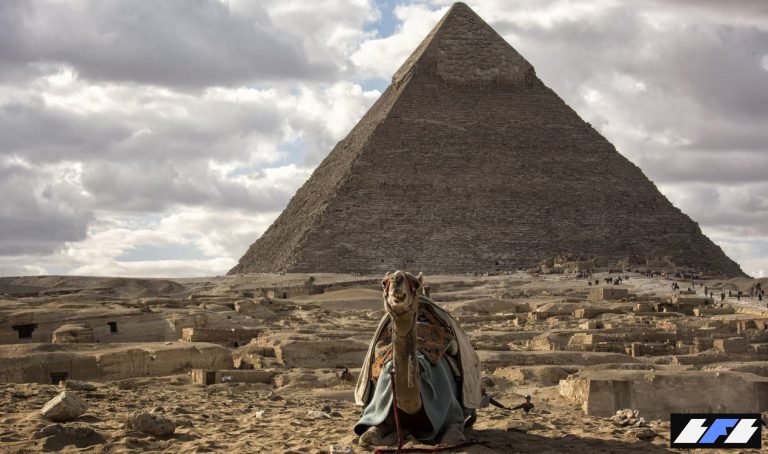 news-hq-pyramid-egypt-camel2